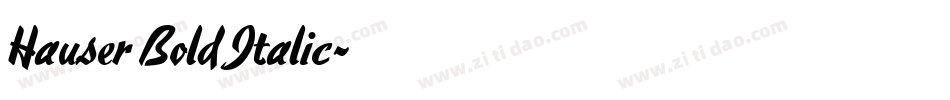 Hauser Bold Italic字体转换
